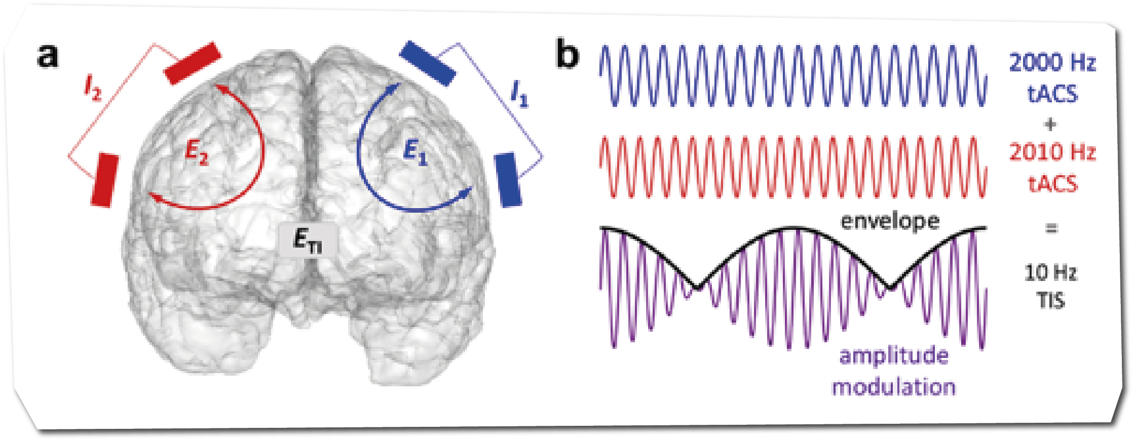 temporal-interference-brainbox